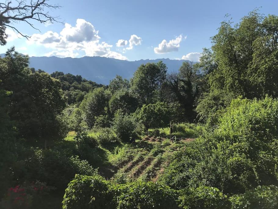 Belladone Guest House Theys Les 7 Laux 外观 照片