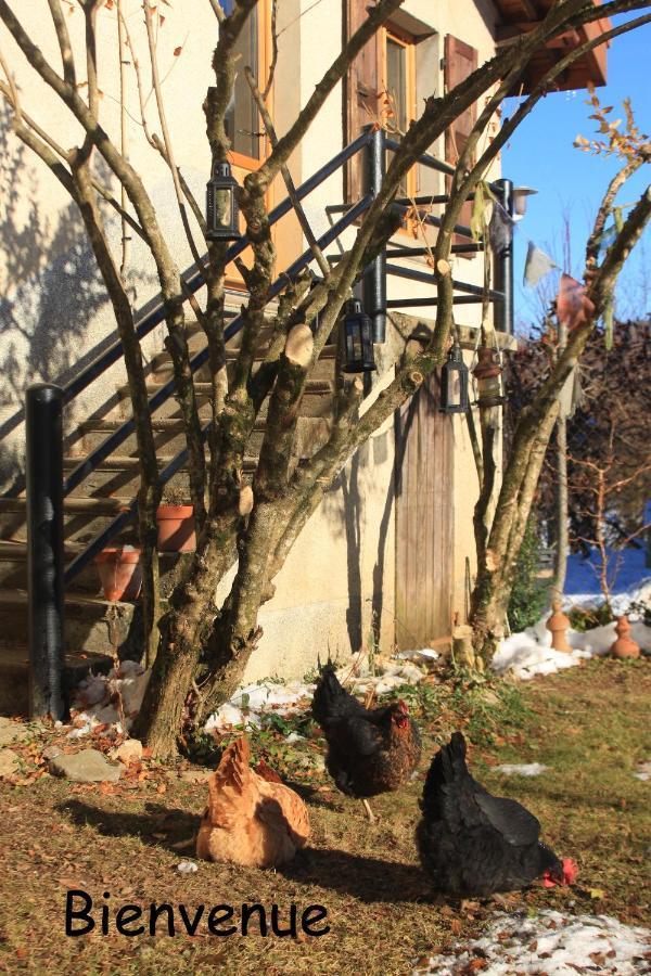 Belladone Guest House Theys Les 7 Laux 外观 照片